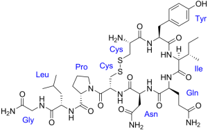 OxytocinMoleculePD